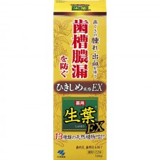 [생엽] 생엽 약용 치약 잇몸 조여주는 타입 ex 100g