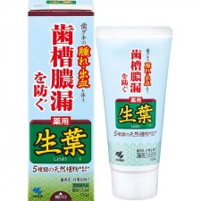 [생엽] 생엽 약용 치약 100g