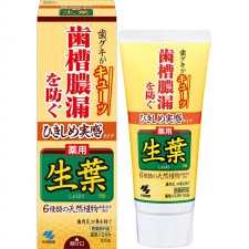 [생엽] 생엽 약용 치약 잇몸 조여주는 타입 100g