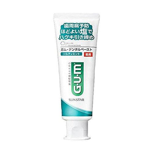 [GUM] [치약]GUM 덴탈 페이스트 약용 솔티 민트 스탠딩타입 치약150g