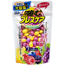 [고바야시] 마스크입냄새 브레스케어100정 캔디 리필