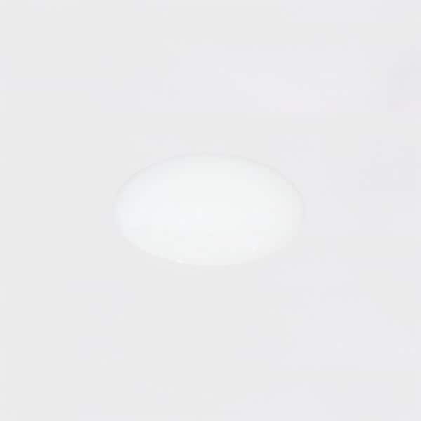 하다라보 극한 약용 탄력 화장수 리필