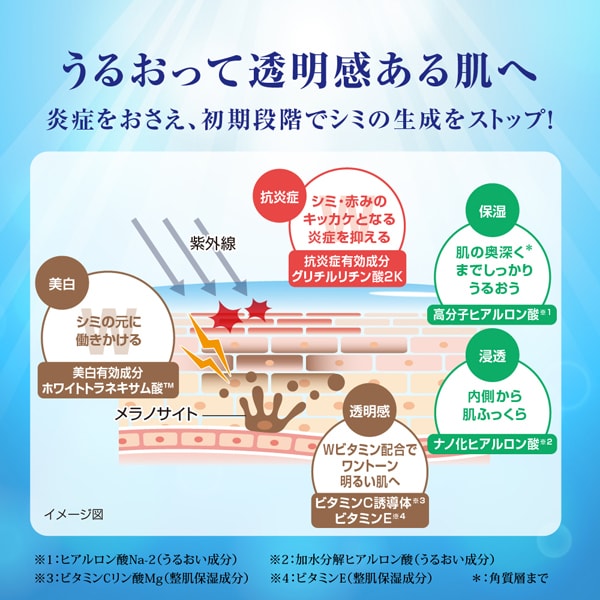하다라보 백윤 프리미엄 약용 침투 미백 화장수 촉촉한 타입 리필 170ml
