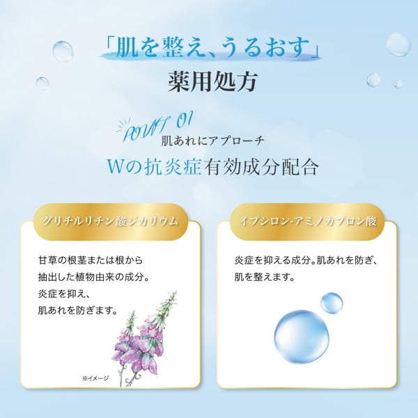 하다라보 극윤 약용 스킨 컨디셔너 리필 용 [화장수]