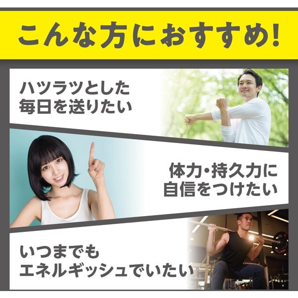 DHC 디에이치시 발효 블랙 세사민+스태미나 20일분