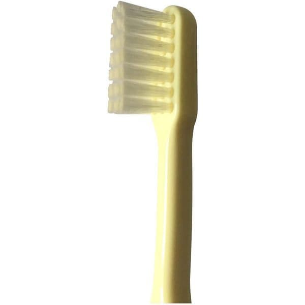 스트릭스 디자인 STRIX DESIGNKN-080 [치과용 칫솔 플랫 보통 20개]