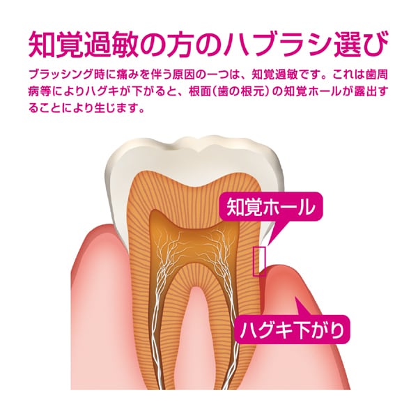 껌 GUM 껌 포옹 랩 덴탈 브러쉬 #518 부드러운 4열 콤팩트 1개 [칫솔]