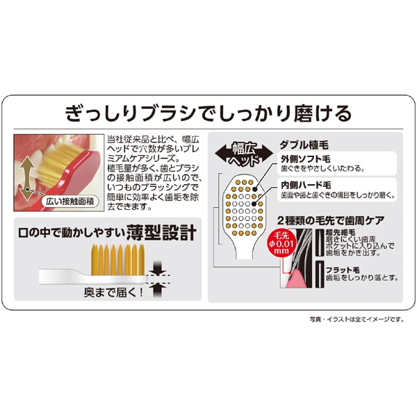 에비스 EBiSU 프리미엄 케어 허브러시・6열 콤팩트 보통 B-3600M 1개