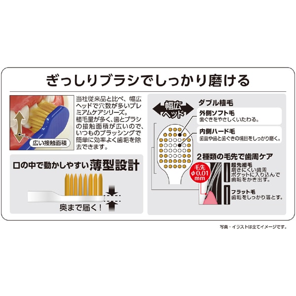 에비스 EBiSU 프리미엄 케어 허브러시・7열 레귤러 보통 B-3603M 1개