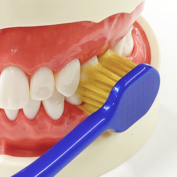 에비스 EBiSU 프리미엄 케어 허브러시・7열 레귤러 보통 B-3603M 1개