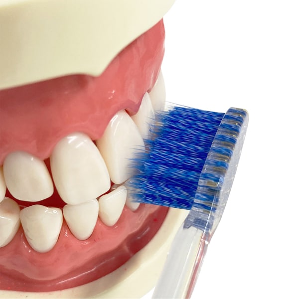 에비스 EBiSU 프로 그립 칫솔 보통 [성인용 칫솔]