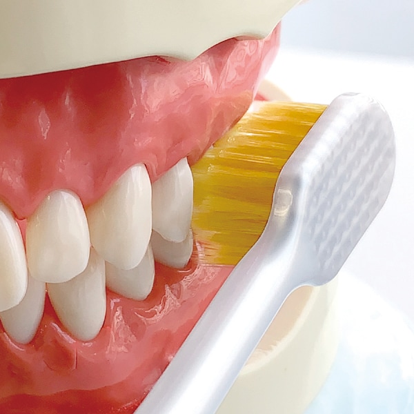 에비스 EBiSU 프리미엄 케어 허브러시・6열 레귤러 부드러운 B-3601S 1개