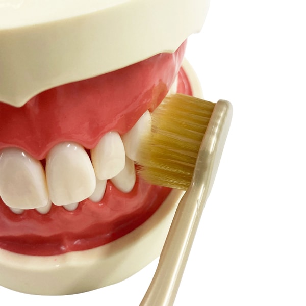 에비스 EBiSU 더 프리미엄 케어 8열 레귤러 보통 B-3621M 1개