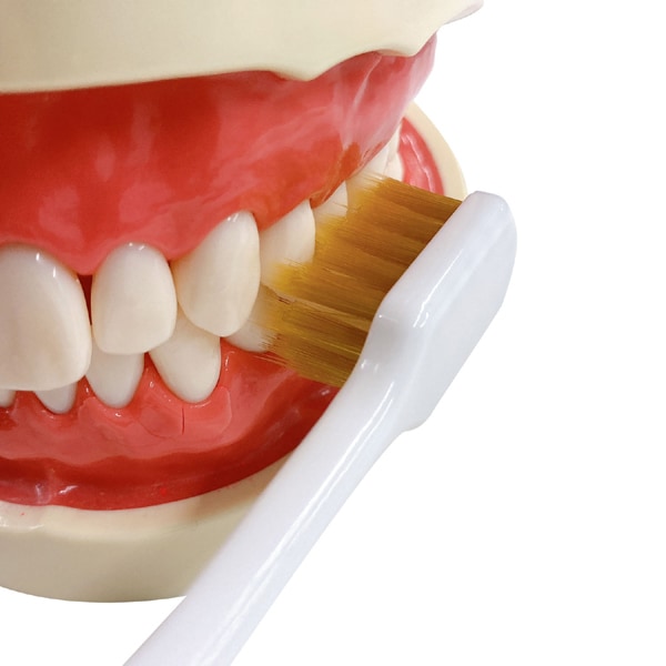 에비스 EBiSU 프리미엄 케어