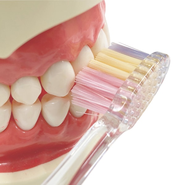 에비스 EBiSUB-8067M [프로 그립 허브 typeIII 보통]