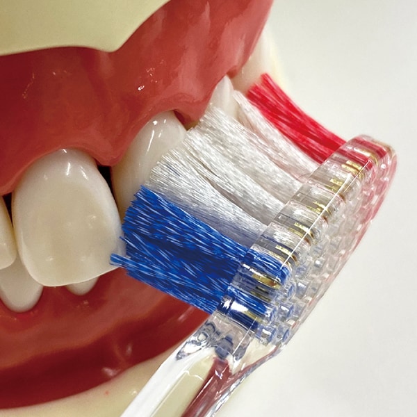 에비스 EBiSUB-8089M [프로 그립 허브 type II 보통 1개]