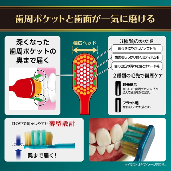 에비스 EBiSU 더 프리미엄 케어 치주 포켓 플러스 부드러운 B-3623S 1개