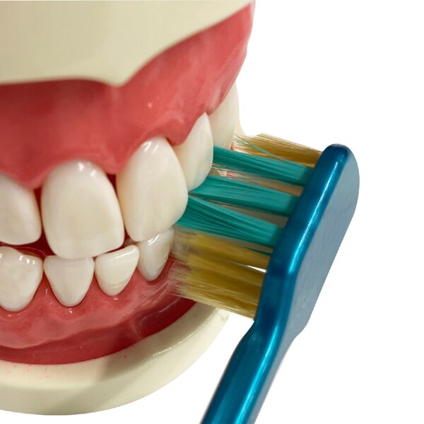 에비스 EBiSU 더 프리미엄 케어 치주 포켓 플러스 부드러운 B-3623S 1개