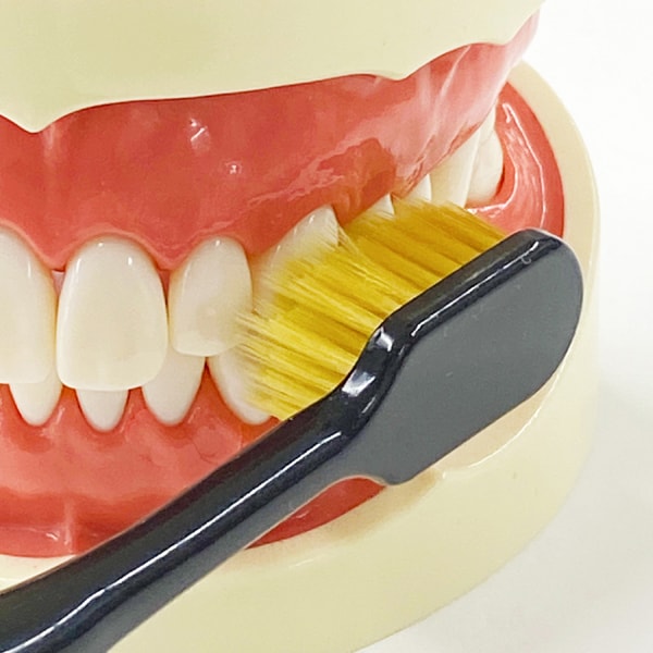 에비스 EBiSU 프리미엄 케어 허브러시・6열 대형 보통 B-3602M 1개