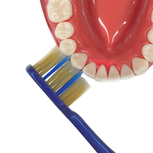 에비스 EBiSU 더 프리미엄 케어 스키마 플러스 보통 B-3624M 1개