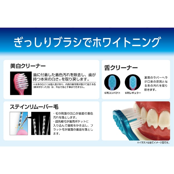 에비스 EBiSU 프리미엄 케어 치아의 미백·6열 콤팩트 보통 B-3606M 1개