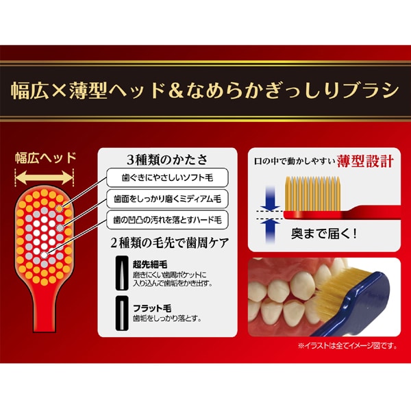 에비스 EBiSU 더 프리미엄 케어 7열 레귤러 보통 B-3620M 1개