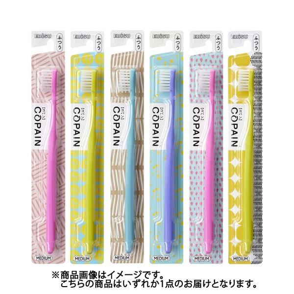 에비스 EBiSU 코팡하브러시 보통