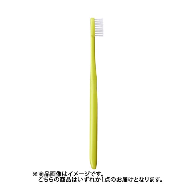 에비스 EBiSU 코팡하브러시 보통