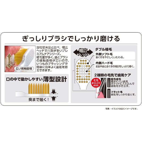 에비스 EBiSU 프리미엄 케어 허브러시・6열 레귤러 특히 부드러운 B-3601SS 1개